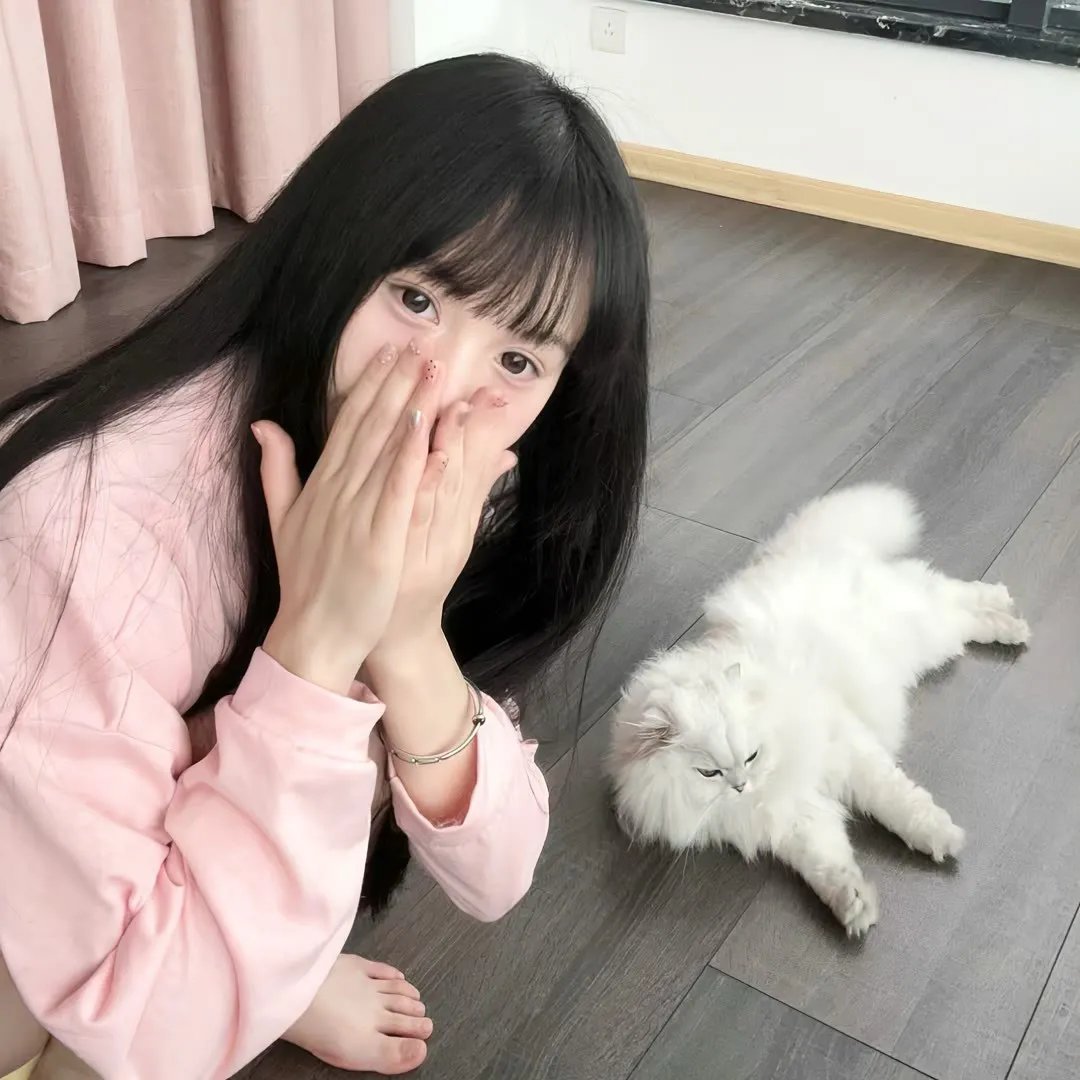 神台猫